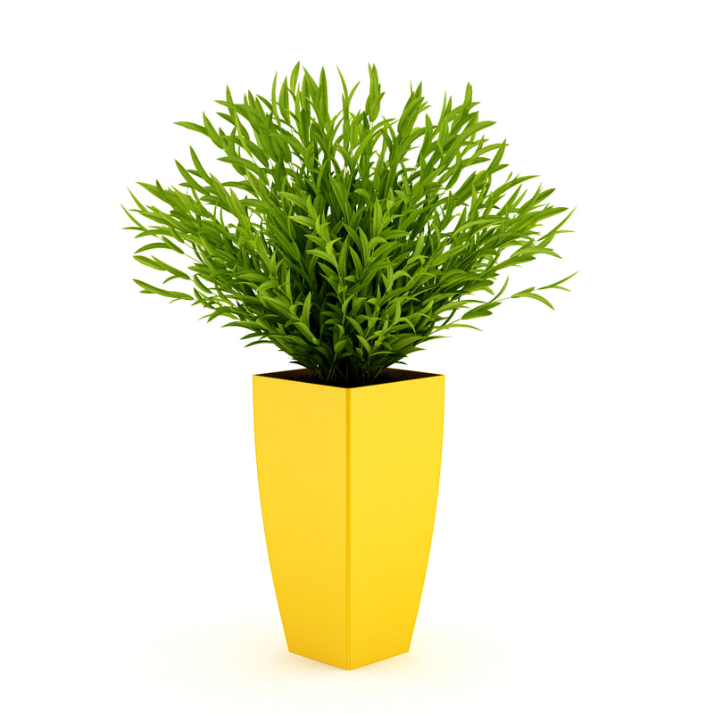  3d  model  plant pot 